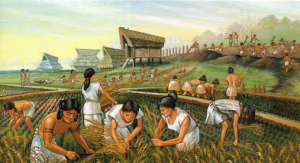 Ilustración del modo de vida agrícola en el Yayoi.