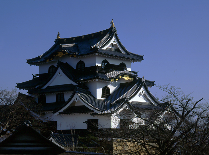 El torre del homenaje del castillo de Hikone es una de las mejor conservadas del período Momoyama (1568- 1603). Sobre la base de piedra se alza la estructura de madera con  los característicos tejados curvos.