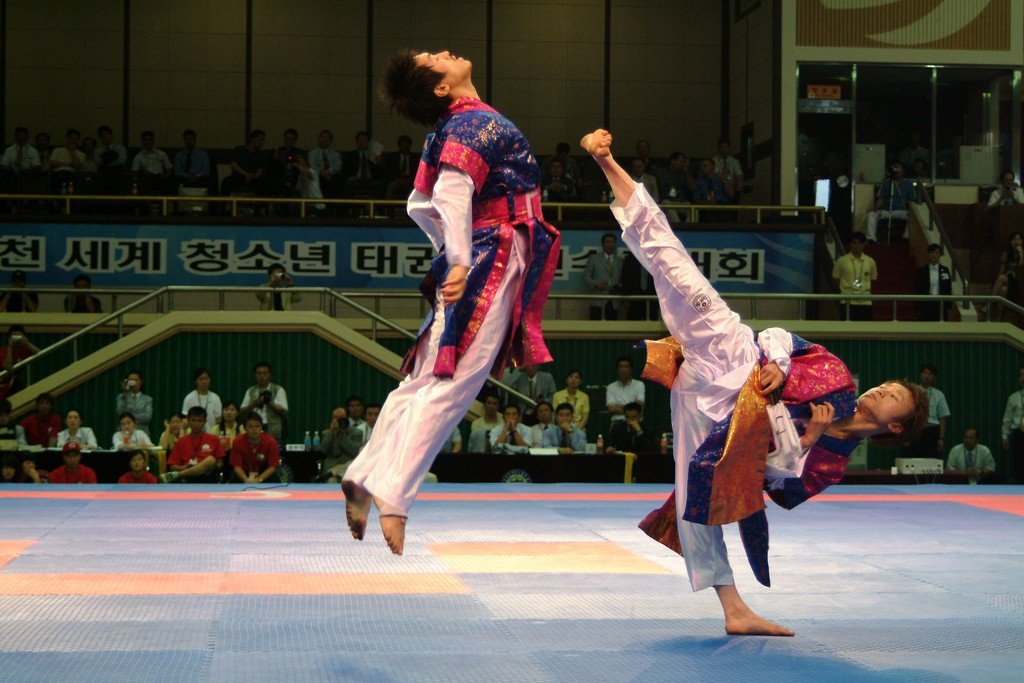 Exhibición de Taekwondo (fuente: flickr de Republic of Korea).