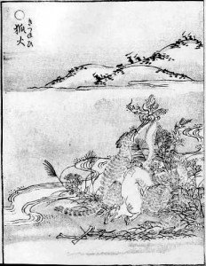 Los kitsune y los tanuki forman parte del imaginario colectivo nipón, tanto en lo cotidiano como en lo sobrenatural.