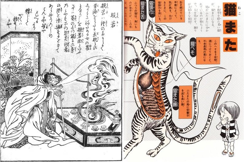 Autores como Mizuki retoman las tipologías enciclopédicas clásicas como la de Sekien para establecer los imaginarios contemporáneos de los yôkai.