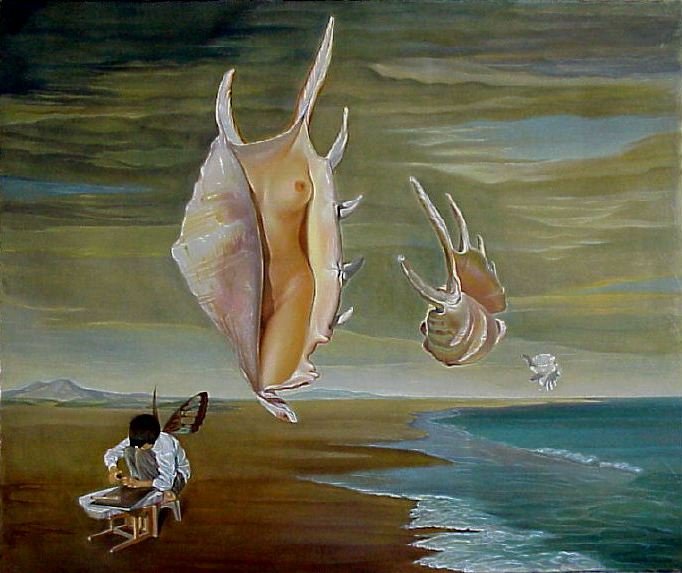 Las conchas gigantes de las Islas Amami (The giant shells from Amami Islands, 2000).