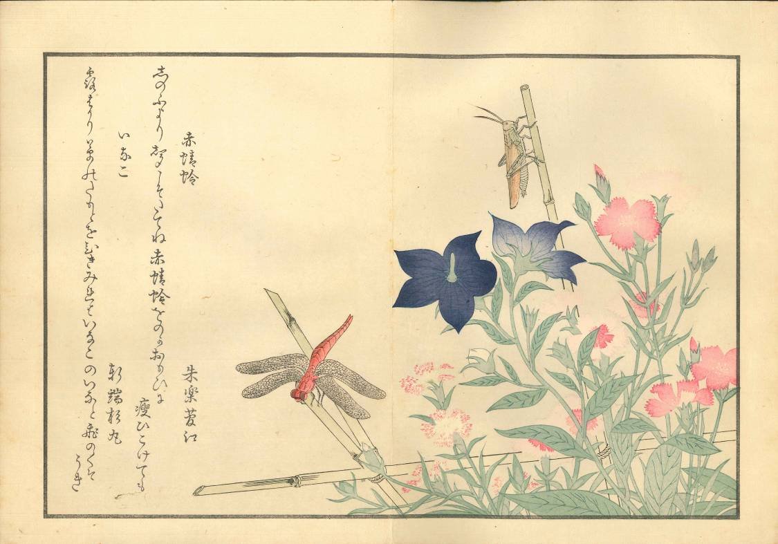 Quimono y álbum japonés de la colección Apel·les Mestes (fuente: Blog del Museo Nacional de Arte de Cataluña).